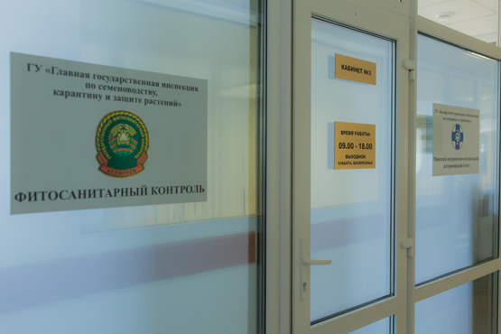 Таможенный терминал